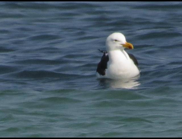 LAND FOR SALE IN MYBURGH PARK